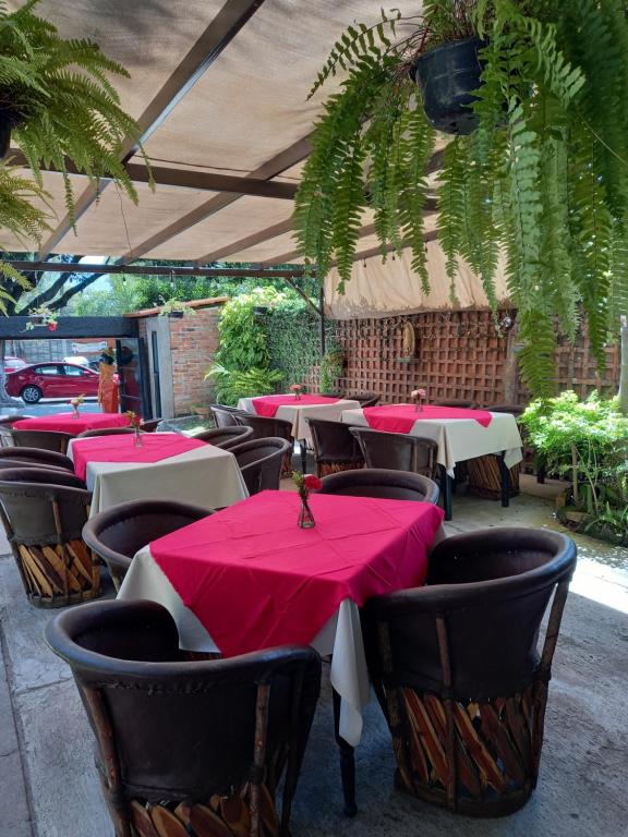 Restaurace v ubytování Toca Madera