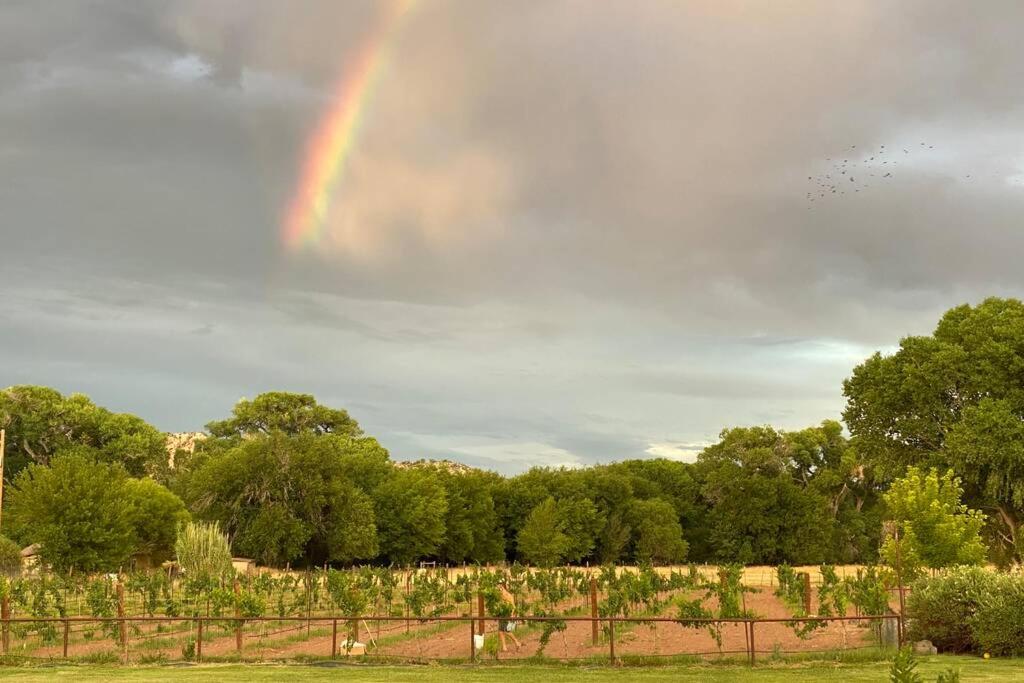 a rainbow in the sky over a field with trees at Cabernet Cottage in Cottonwood