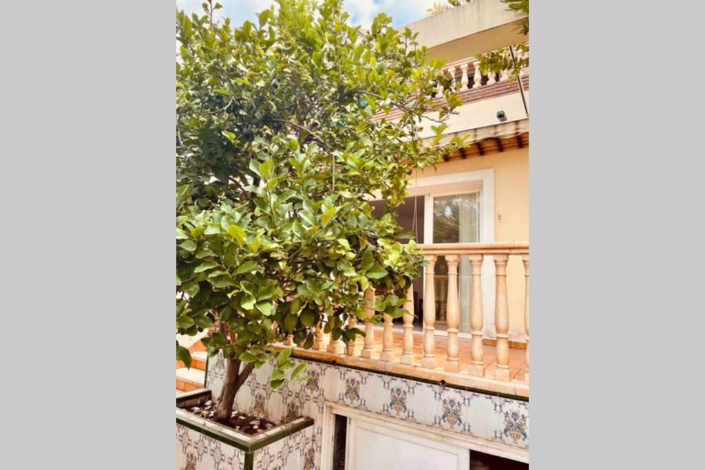 Balkón alebo terasa v ubytovaní Apartamento familiar 2 habitaciones - Terrazas-WiFi
