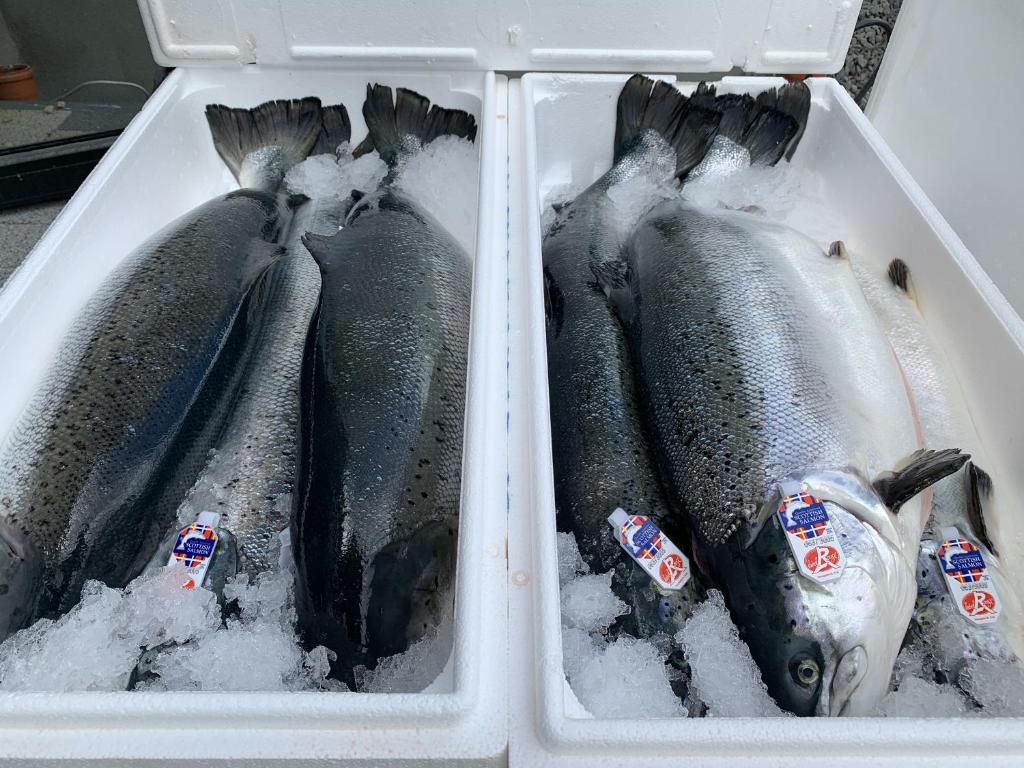 th Hotel Leipzig Messe - Resim 32