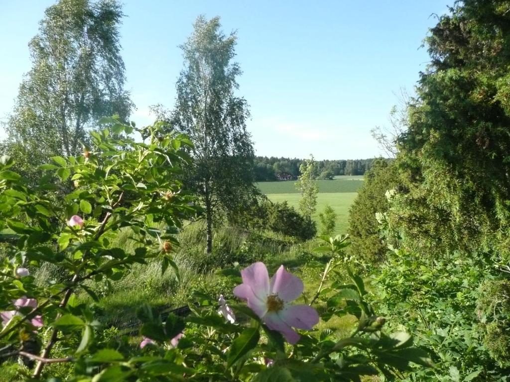 Zahrada ubytování Kullens Bed and Breakfast