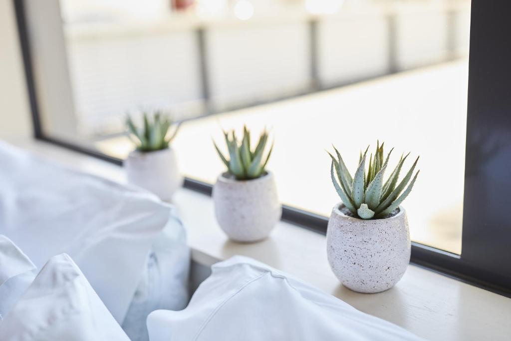 Blenheim Palms Motel - Resim 20