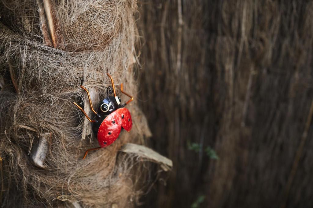 Blenheim Palms Motel - Resim 23
