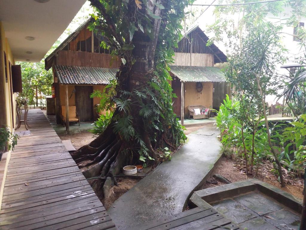 a tree in front of a house with a wooden walkway at Canto do Riacho Chales in Trindade