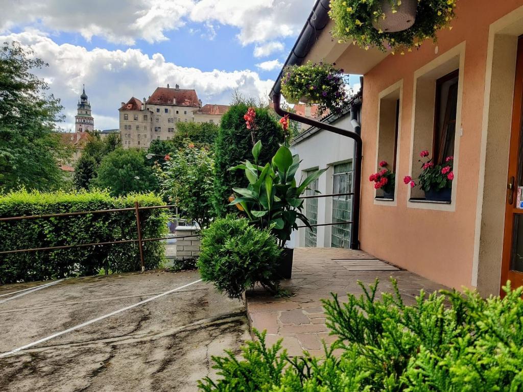 Zahrada ubytování Penzion Na Špičáku