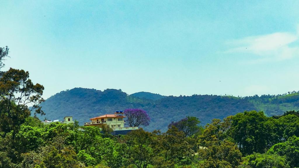 una casa en la cima de una colina con árboles en Hidden Heaven en Coonoor