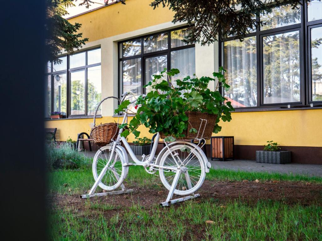 Zahrada ubytování Słoneczny Brzeg Natura Tour