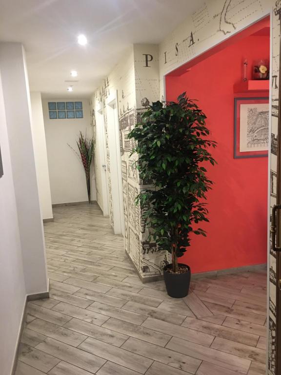 a hallway with a red door and a potted plant at B&B Ariston Pisa Tower in Pisa