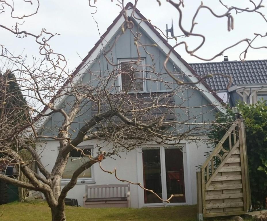 Una casa blanca con un árbol delante. en Borgers, en Eckernförde
