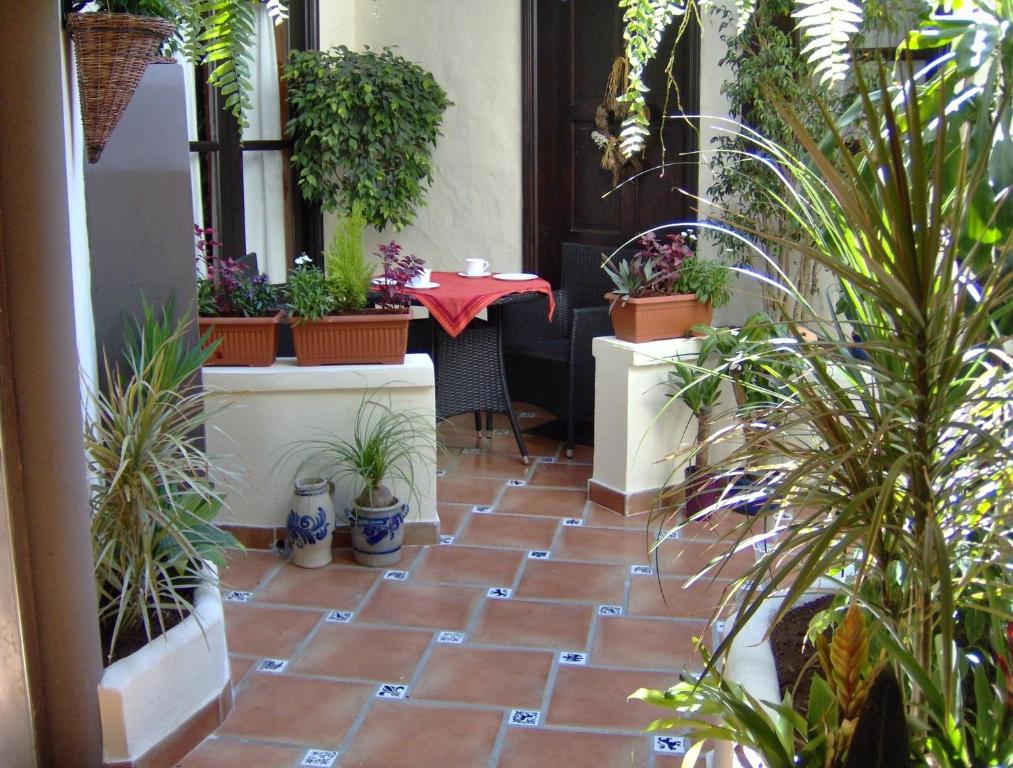 d'une terrasse avec une table et des plantes en pot. dans l'établissement Apartment mit kleiner Innenhof-Terrasse im mediterranen Stil, à Icod de los Vinos