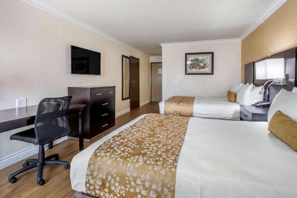 Best Western Plus South Bay Hotel photo