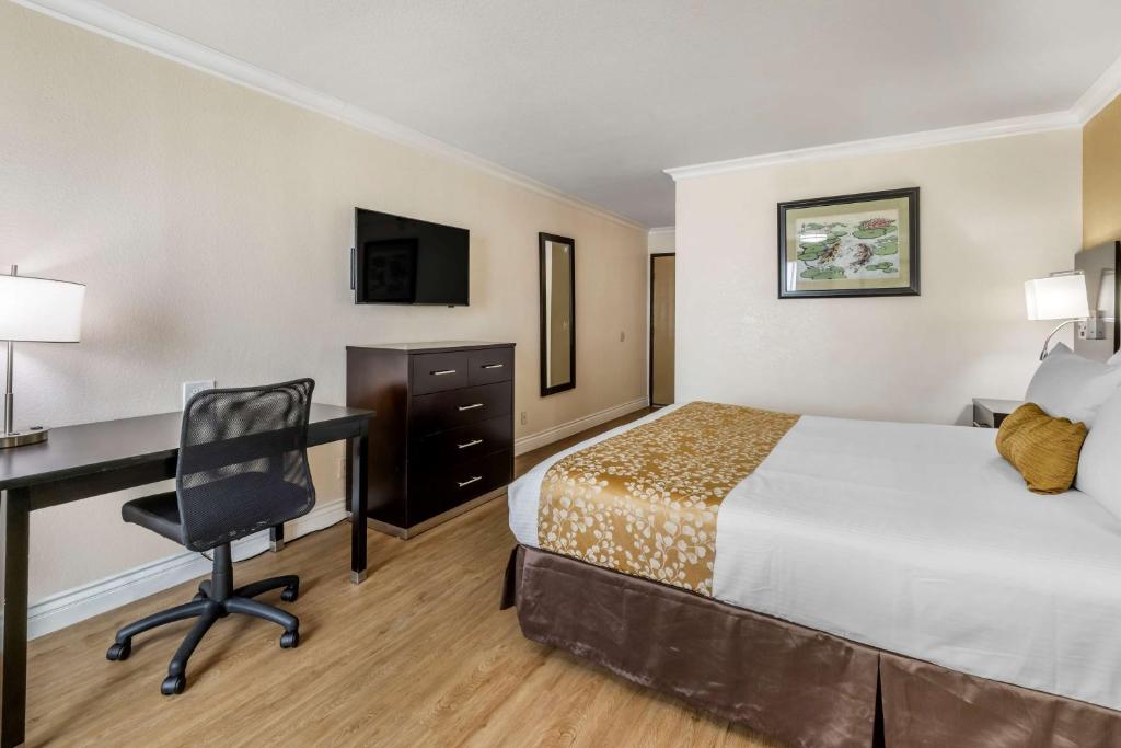 Best Western Plus South Bay Hotel - King Room - Non-Smoking
