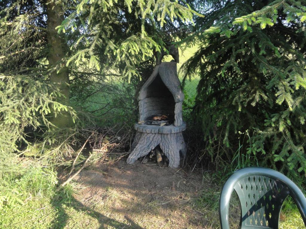 Příroda nedaleko apartmánu