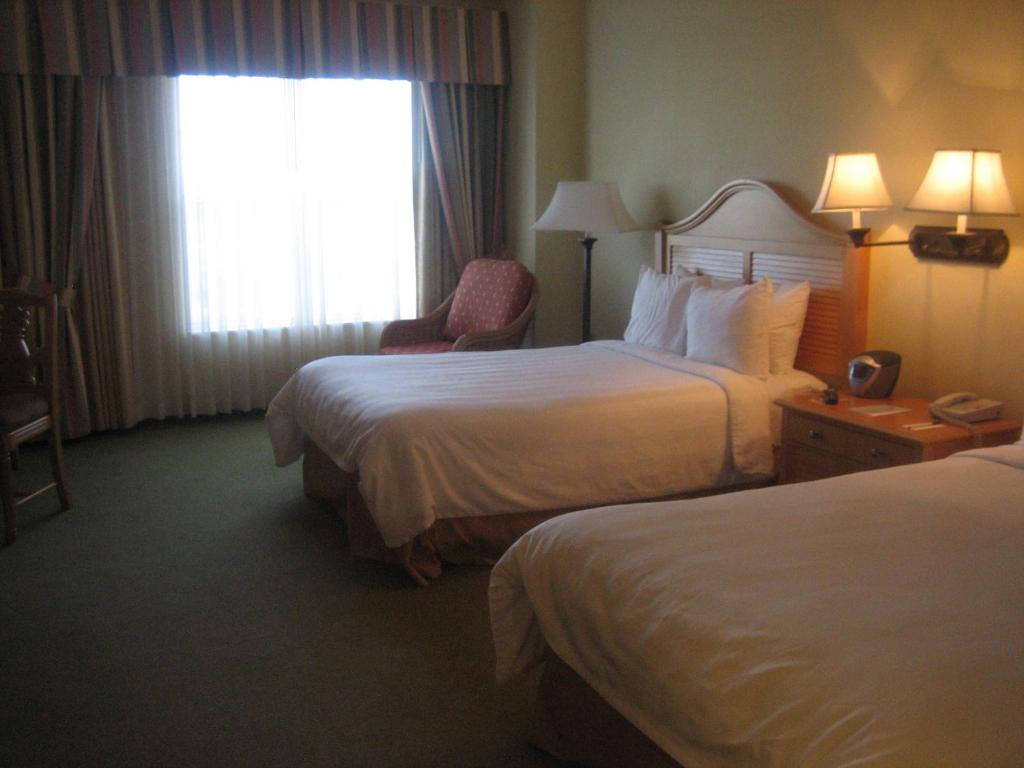 Monumental Hotel Orlando - 标准间 - 带两张双人床
