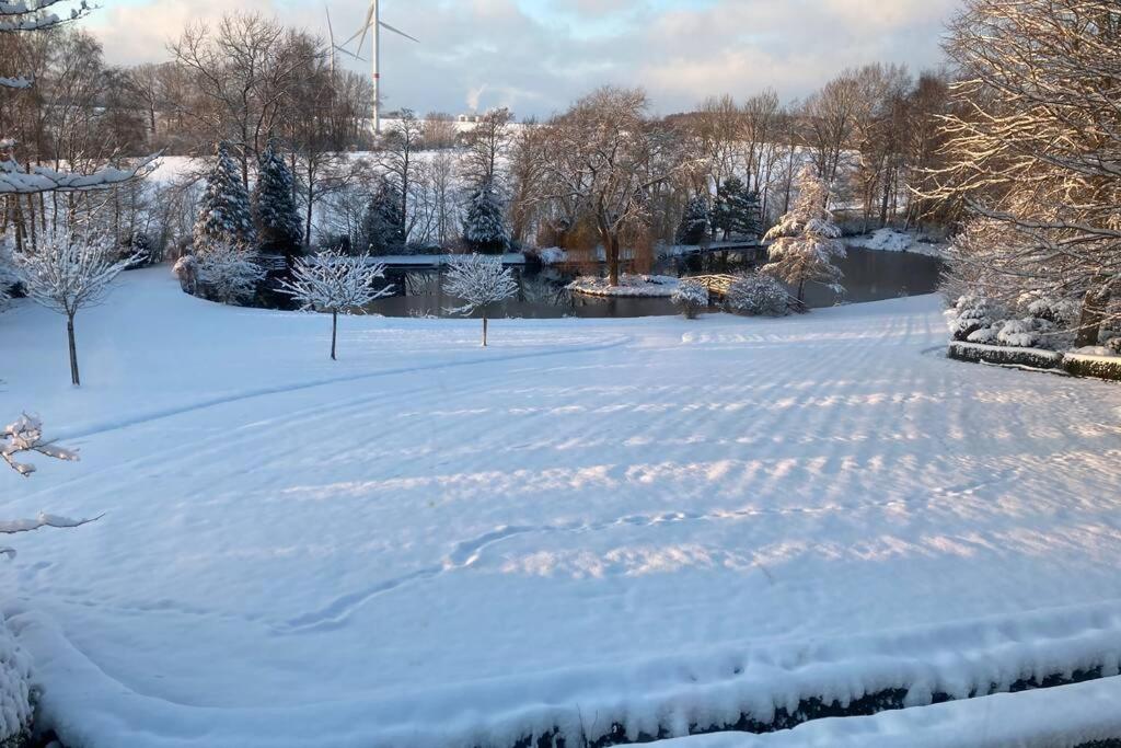 a snow covered park with a pond and trees at Week-end détente pour 4 personnes in Gouvy