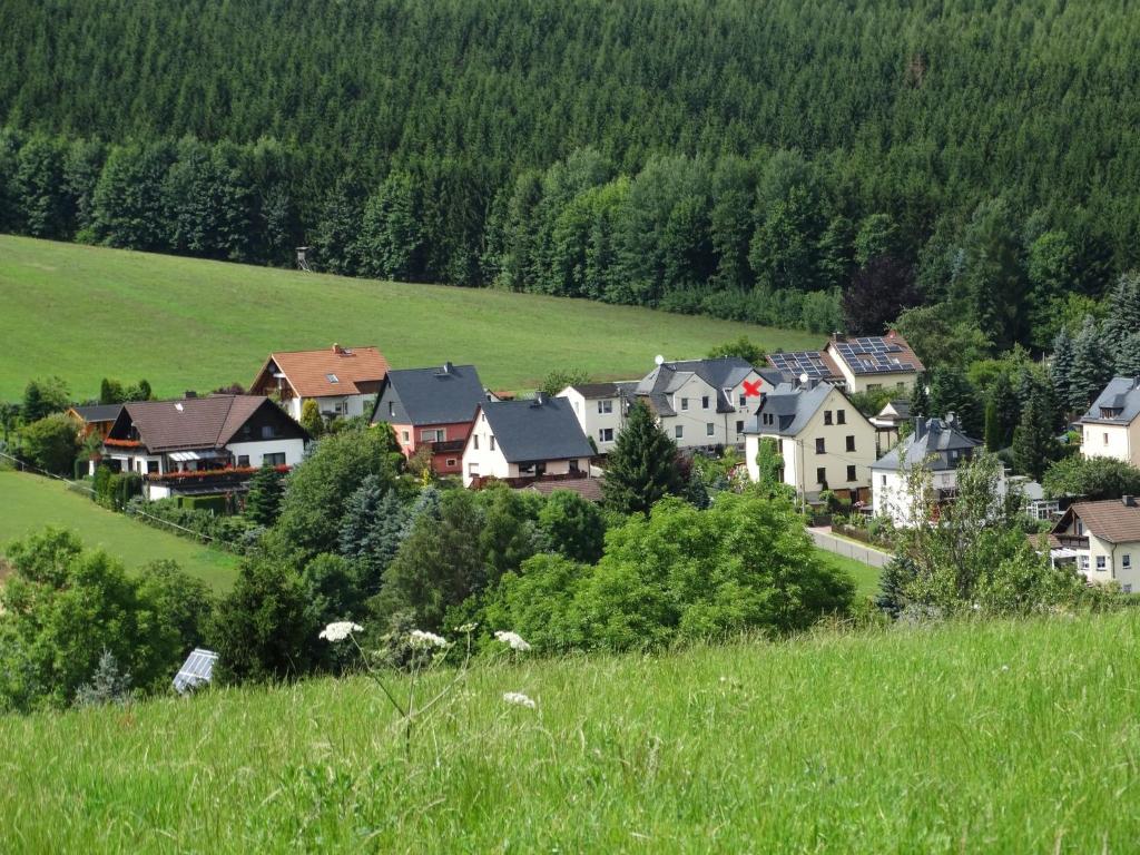 eine Gruppe von Häusern auf einem grünen Feld mit Bäumen in der Unterkunft Ferienwohnung "Am Vaterlandsgrubenweg" - a57586 in Oelsnitz