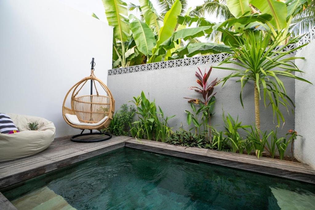 Tiga Studios - Adults Only - 8