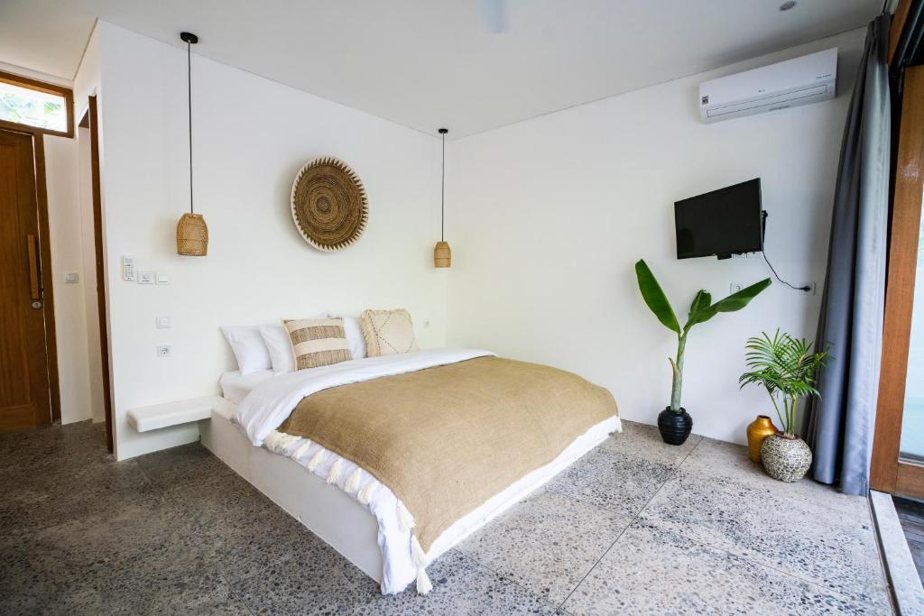 Tiga Studios - Adults Only - 2