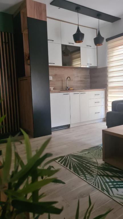 Dapur atau dapur kecil di Apartmani PART
