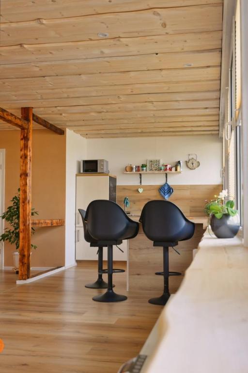 two chairs in a living room with wooden ceilings at Ferienwohnung Steinberg mit Sauna in Rothenkirchen