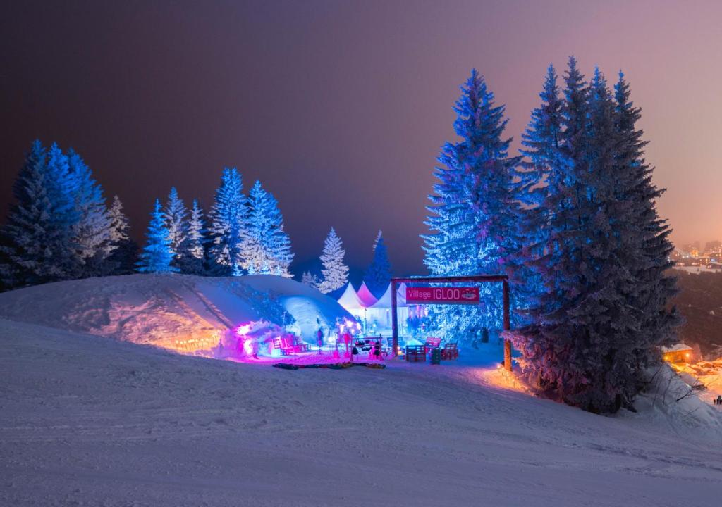 アヴォリアーズにあるVillage Igloo Morzine Avoriazのギャラリーの写真