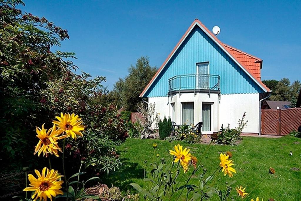 a blue and white house with flowers in front of it at Bossow, Regina in Zingst