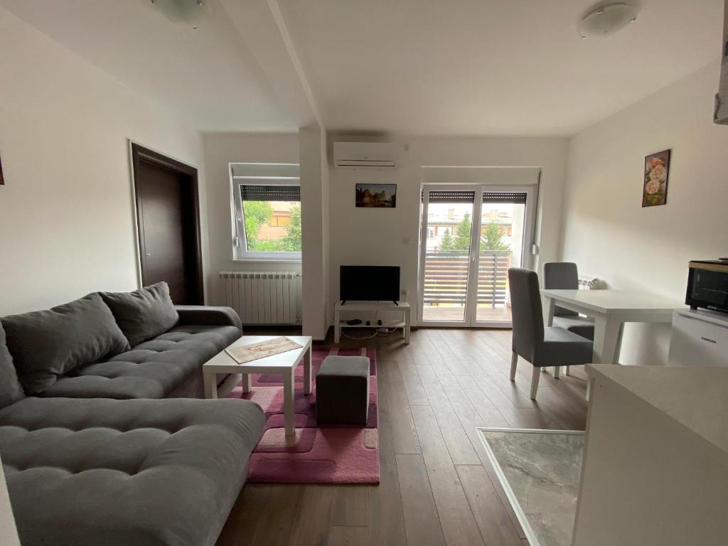 TV a/nebo společenská místnost v ubytování Dom apartmani