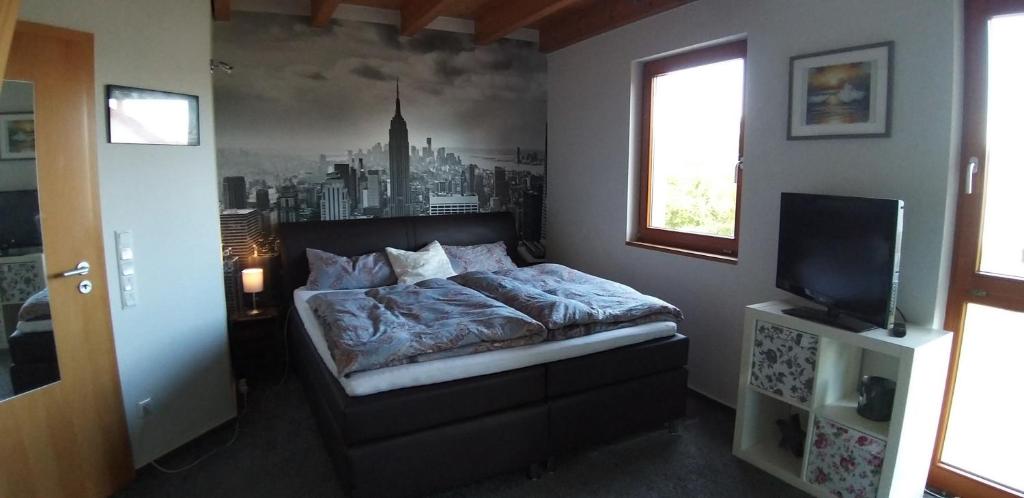 ein Schlafzimmer mit einem Bett und einem TV. in der Unterkunft Maisonette-Ferienzimmer Am Backhausgarten in Flonheim