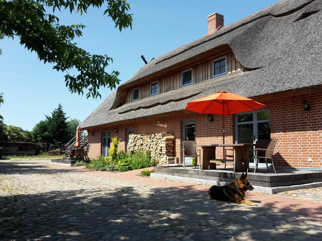 a dog laying in front of a house with an umbrella at Dreiurtshof in Remplin