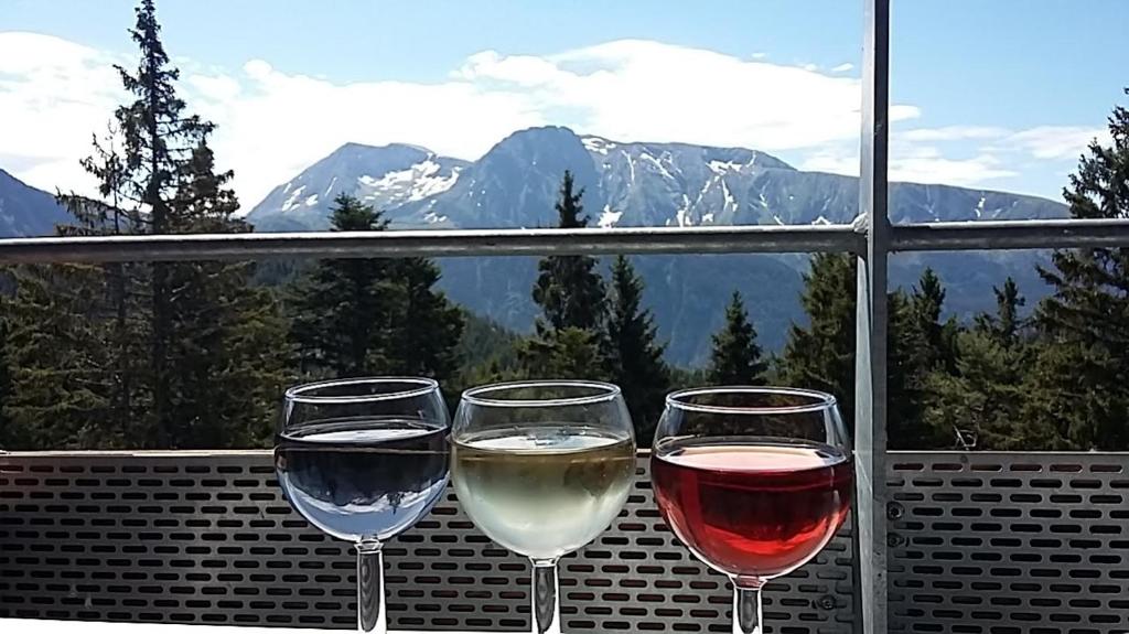 Foto de la galeria de Chamrousse 1700 - Silènes C32, appartement classé 3 étoiles, avec vue sur les montagnes - a Chamrousse