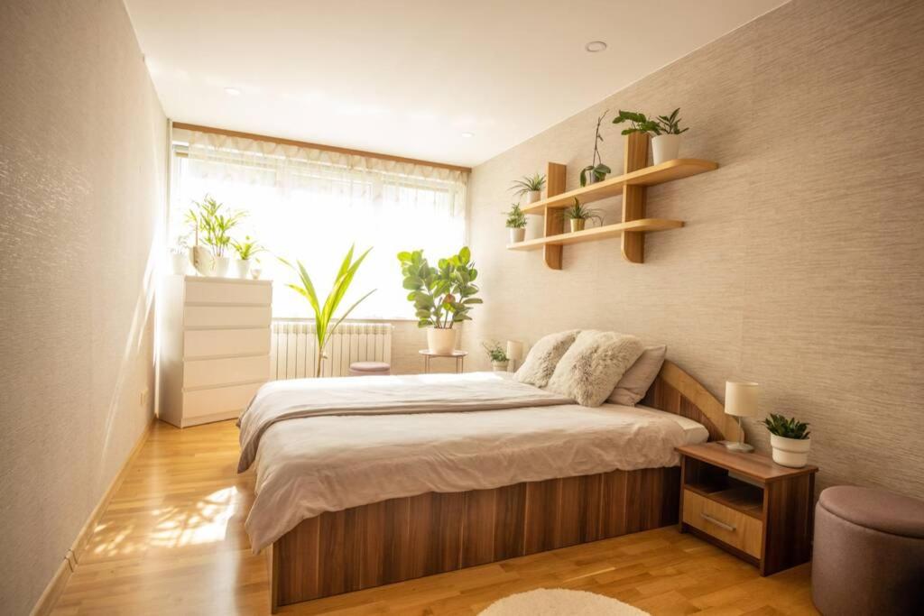 een slaapkamer met een bed en een raam met planten bij Beautiful & spacious apartment in Valmiera in Valmiera