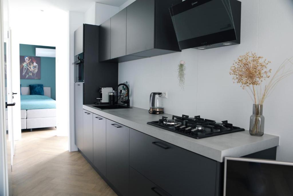 Kuchyň nebo kuchyňský kout v ubytování Beachhouse Renesse 2645