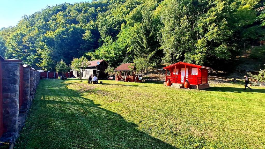 un campo de césped con un pequeño edificio rojo a lo lejos en Cabana Râul Lung, en Caransebeş