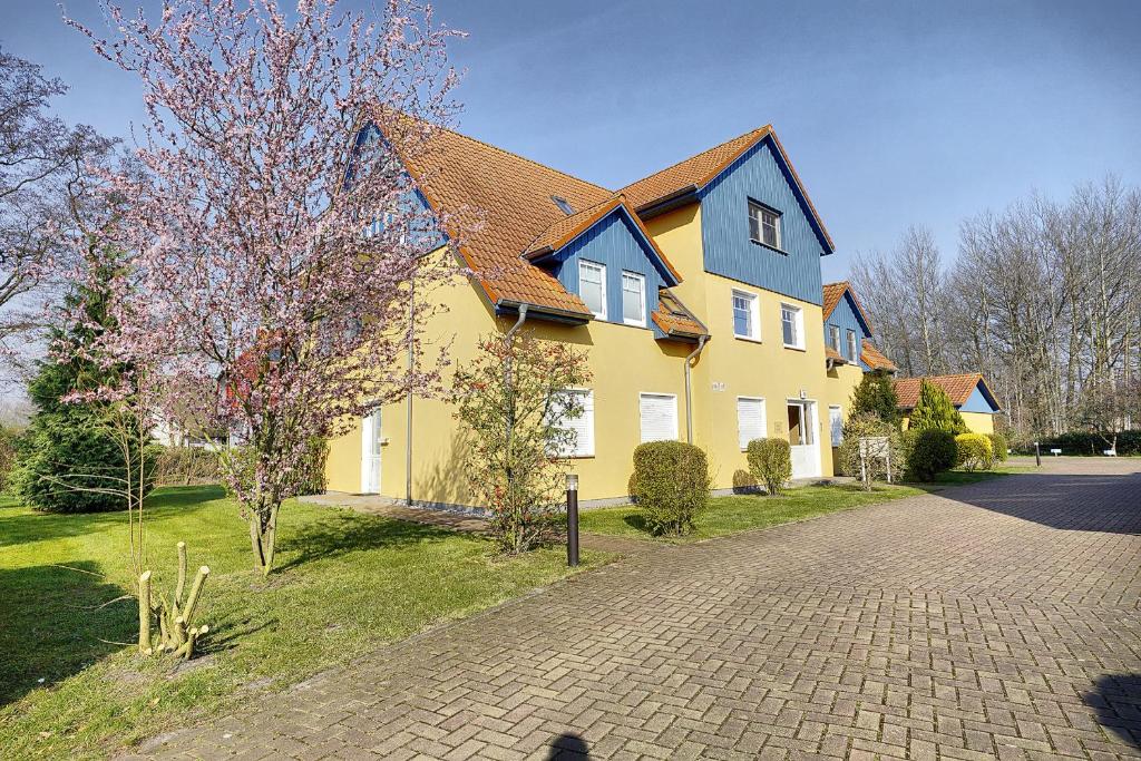 a yellow and blue house with a brick driveway at Sonne, Whg 4 in Zingst