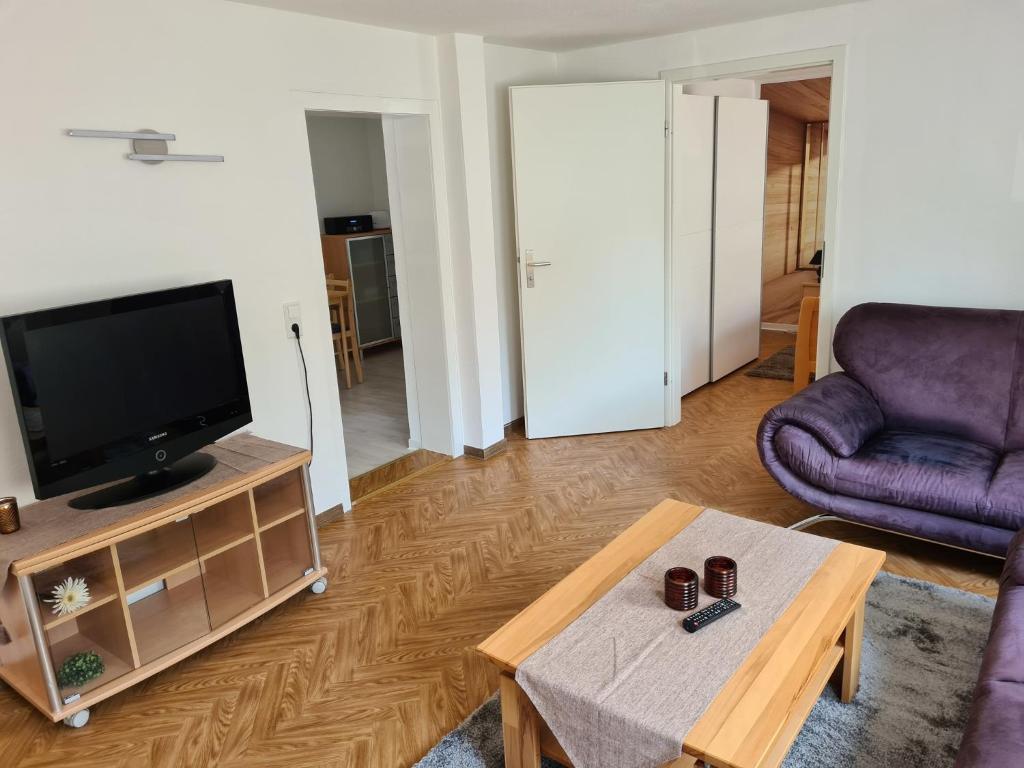 ein Wohnzimmer mit einem TV, einem Sofa und einem Tisch in der Unterkunft Haus Lauterberg 1 - Das Urlaubsdomizil im Harz in Bad Lauterberg