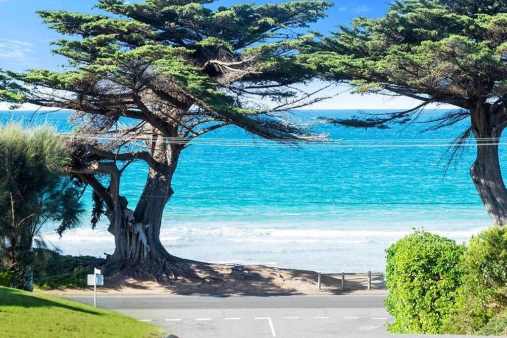 a view of a beach with a tree and the ocean at 150 Steps FREE WI-FI in Apollo Bay