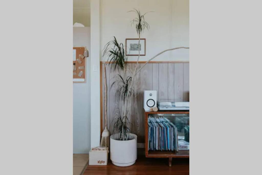 a living room with two potted plants on a shelf at The Shack at Skenes Creek in Apollo Bay