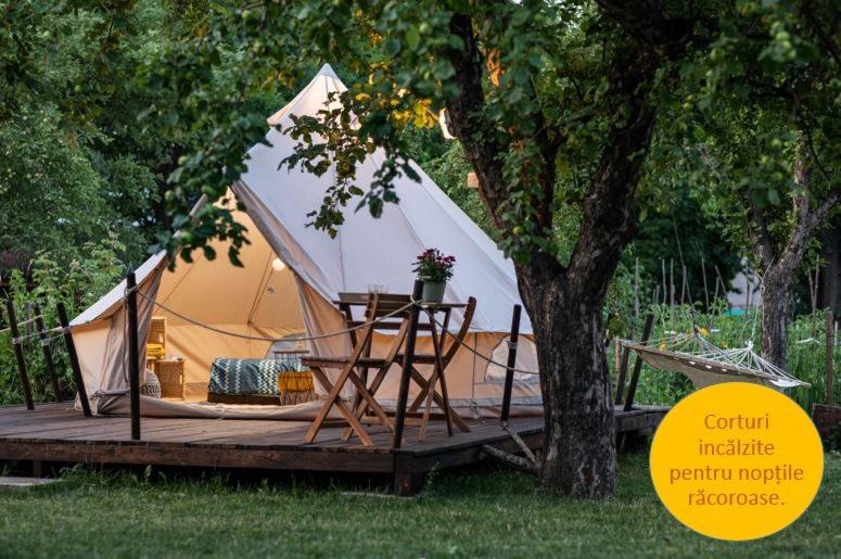 a tent with a table on a deck next to a tree at Dragonfly Gardens Urban Glamping Brasov in Braşov