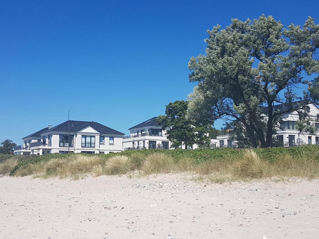 a group of houses on the beach with a tree at Fehmarn-OstseeferienStrandresidenz VogelflugApp 9 in Fehmarnsund