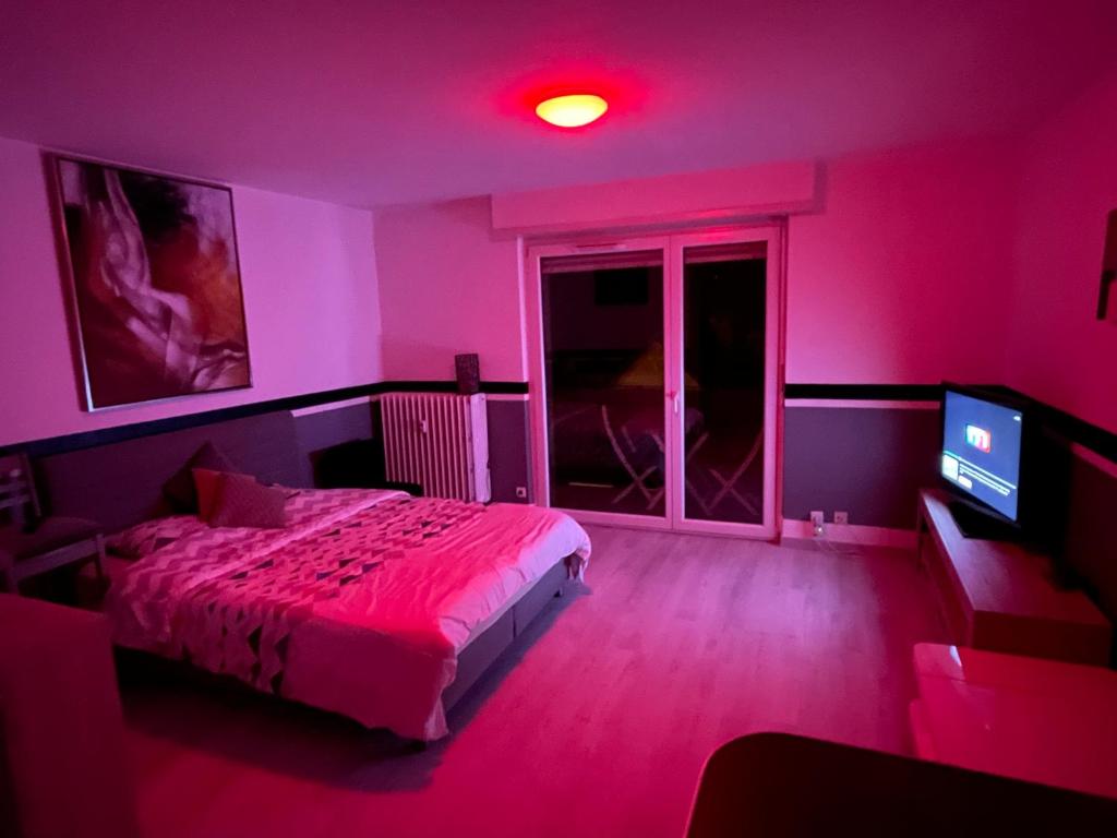 F1 avec Terrasse, 5 min de Colmar, vignoble et free parking – photo 19