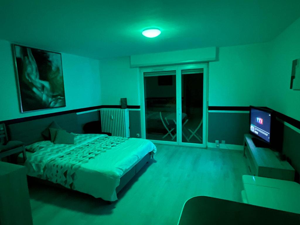 F1 avec Terrasse, 5 min de Colmar, vignoble et free parking – photo 20