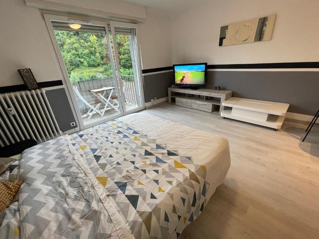 F1 avec Terrasse, 5 min de Colmar, vignoble et free parking – photo 13