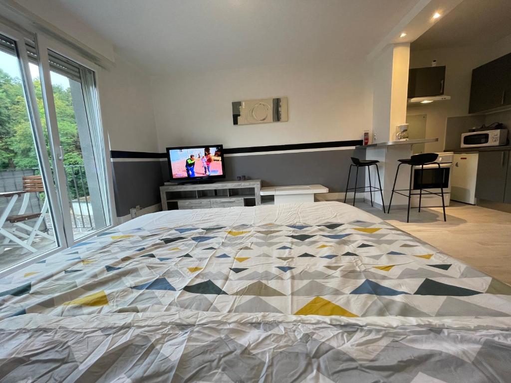 F1 avec Terrasse, 5 min de Colmar, vignoble et free parking – photo 12