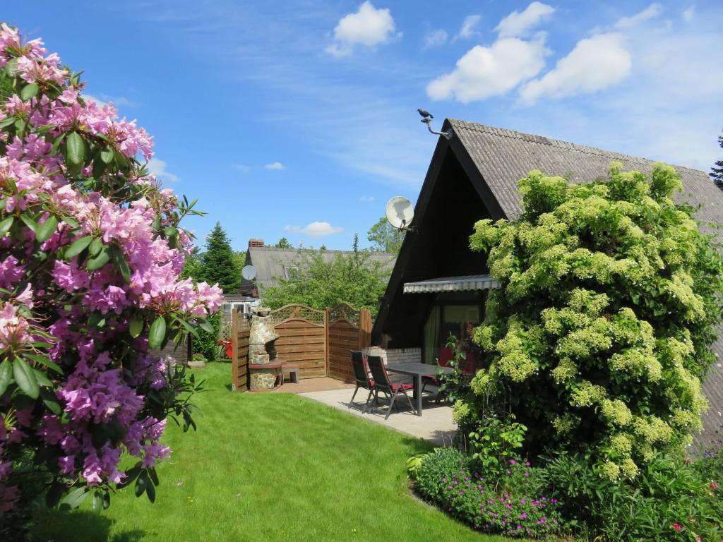 a garden with a house with a large bush at Frietied am Wittensee in Bünsdorf