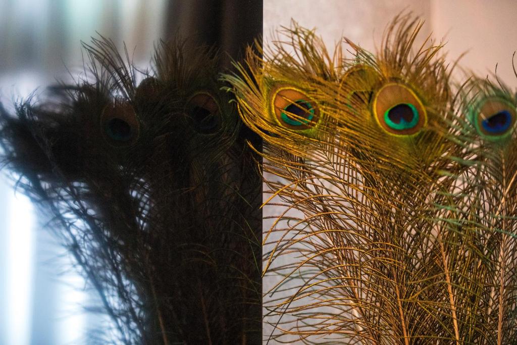 Cavallaro Hotel - Resim 25