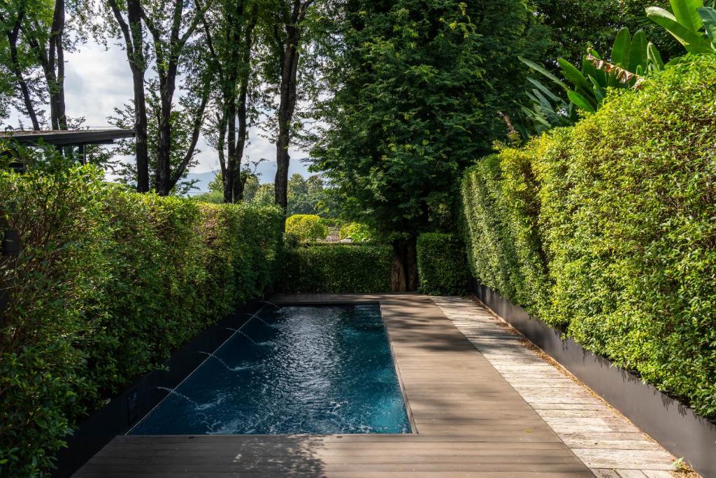 A narrow private-looking pool runs through a leafy garden beside a wooden deck.