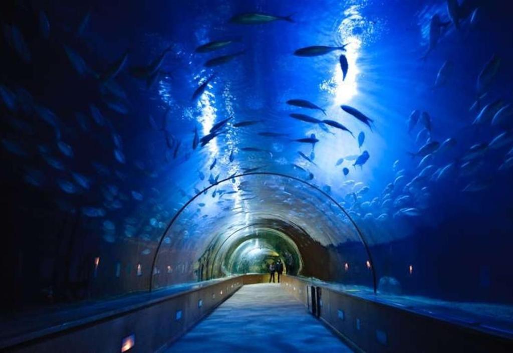 Sun sea and culture in Valencia, Valencia – Updated 2023 Prices