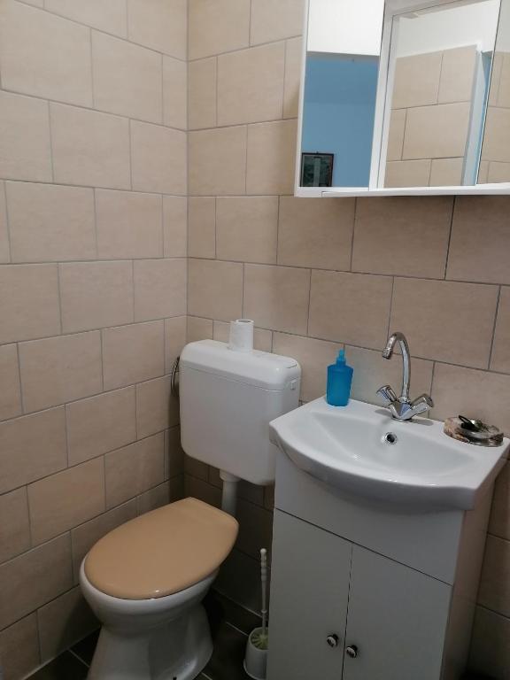 a bathroom with a toilet and a sink and a mirror at Berkenyés Vendégház in Zalalövő