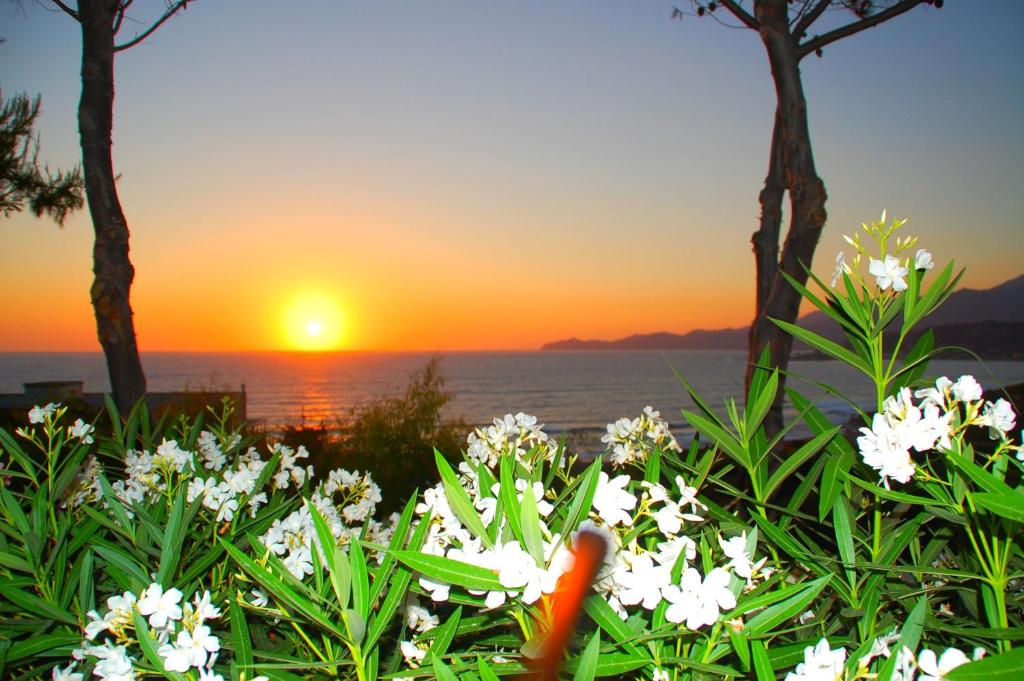 appartamenti sea view