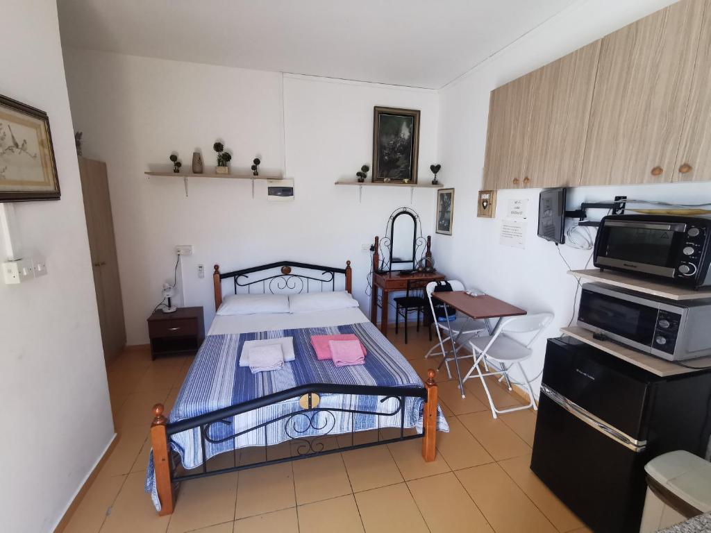 a small room with a bed and a microwave at Nicosia rooms Studios in Nicosia